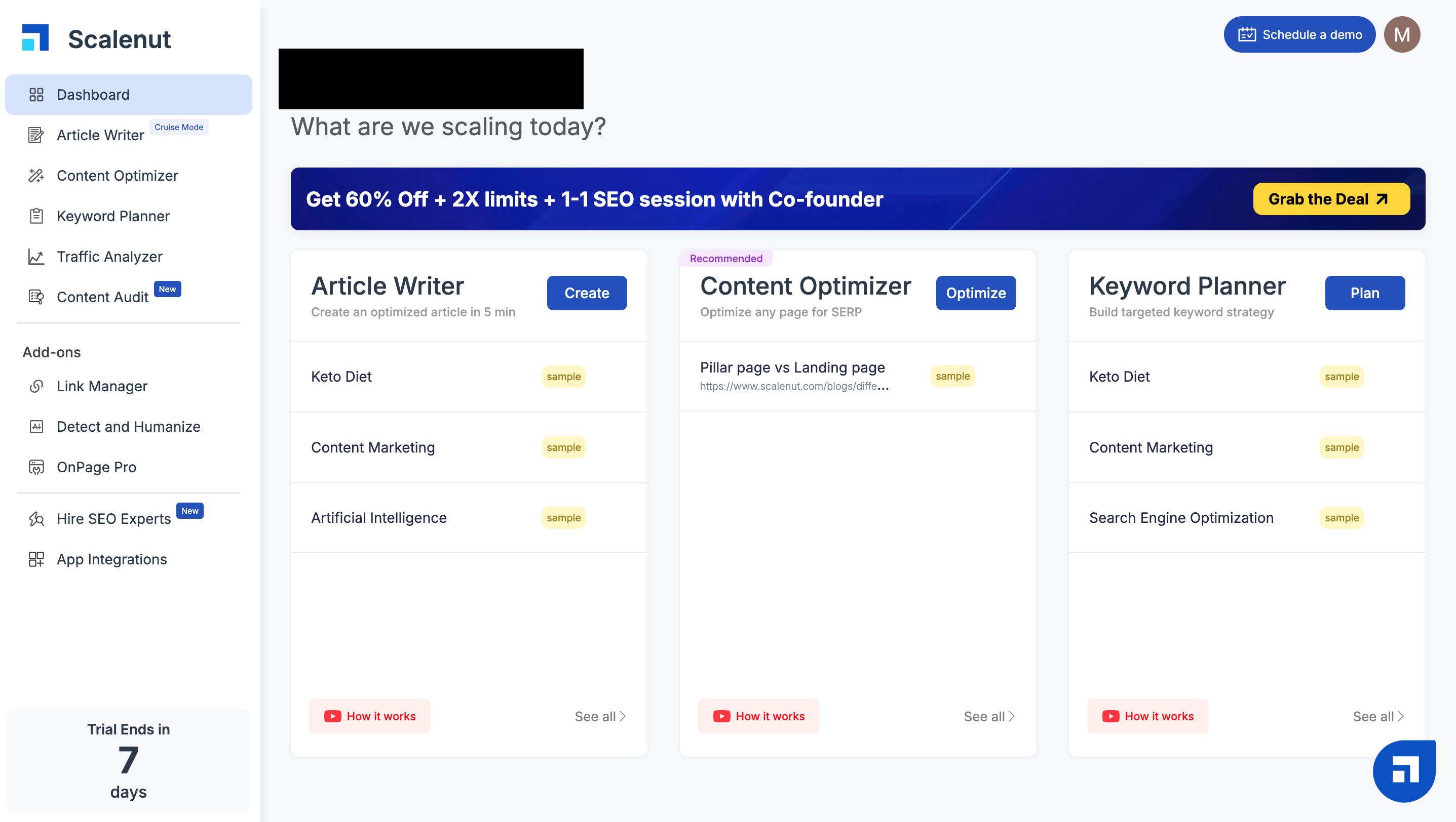 Scalenut Cruise Mode Example